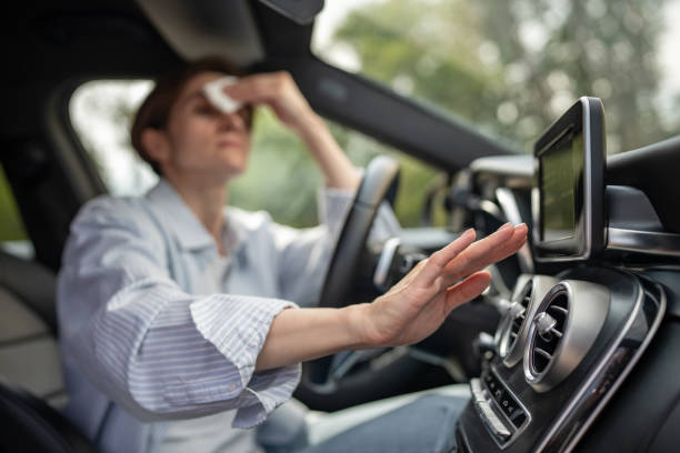 Best Central Air Repair  in Amelia, LA